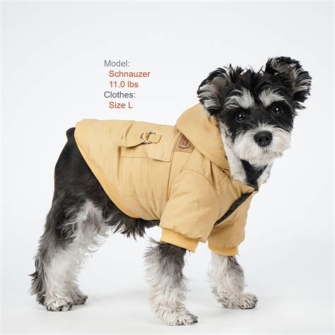 burberry dog raincoat